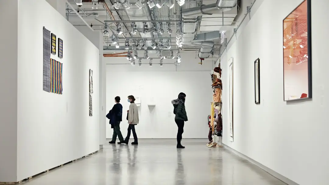 사진학과 순위 TOP3, 취업부터 진로까지 전공 희망자 주목!