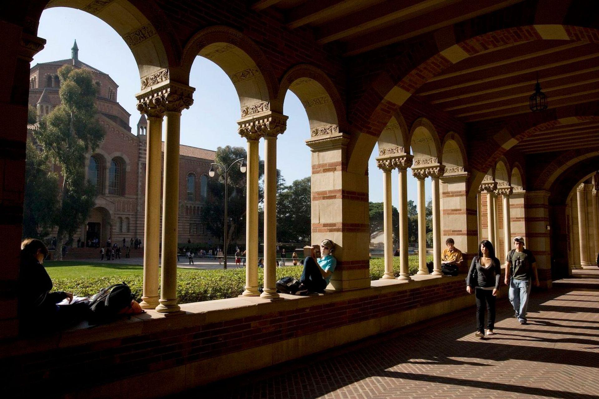 미국 주립대학 1위! UCLA 순위, 전공, 입학정보까지