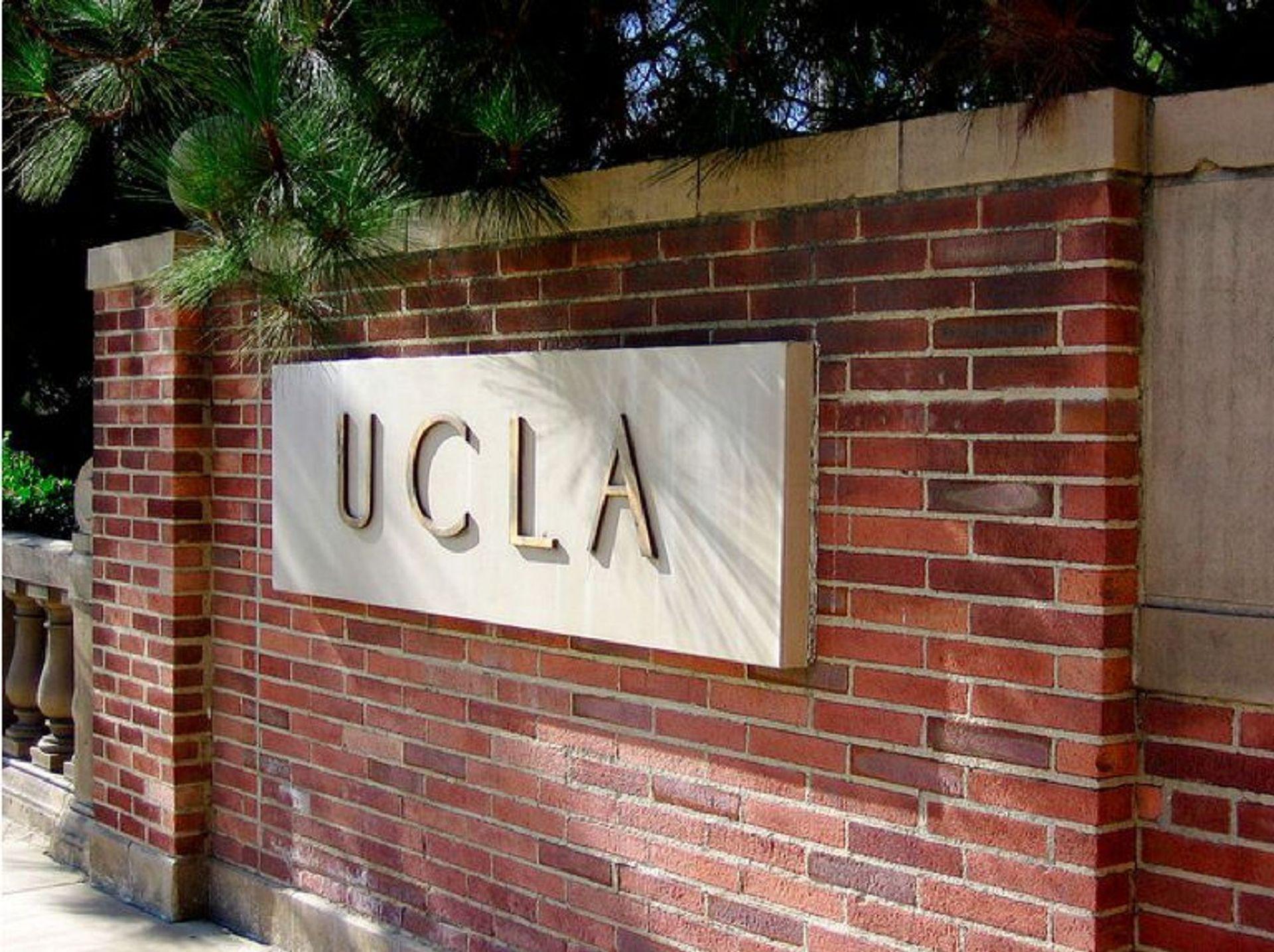 미국 주립대학 1위! UCLA 순위, 전공, 입학정보까지
